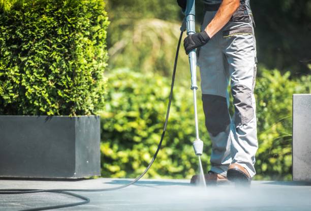 Best Driveway Pressure Washing  in Allison, IA