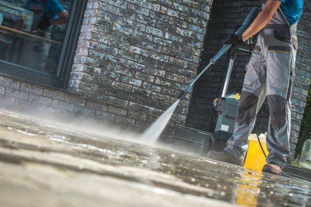 Best Animal Enclosure Cleaning  in Allison, IA