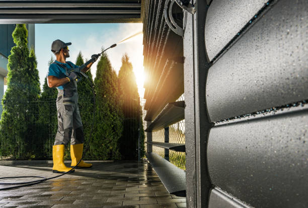 Best Animal Enclosure Cleaning  in Allison, IA