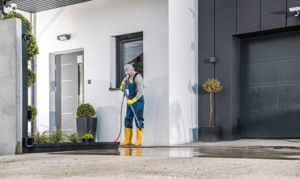 Best Driveway Pressure Washing  in Allison, IA